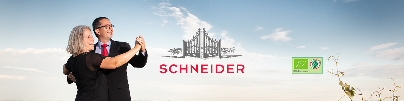 Startseite Intro Tanz Fam Schneider 