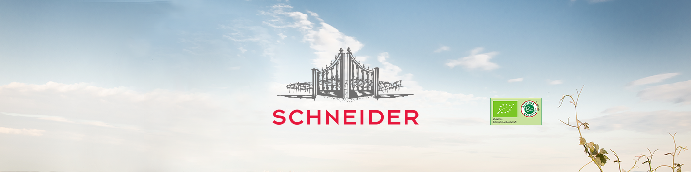 Startseite Intro Tanz Fam Schneider  Himmel