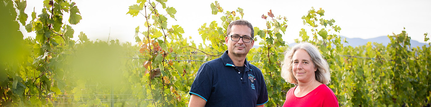 Weingut Schneider Weinlese Georg Ingrid