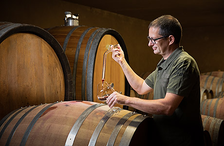 Weingut Schneider Keller Verkostung 