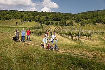 Wanderen in Tattendorf und Umgebung