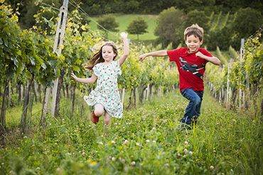 Schneider Kinder Weingarten