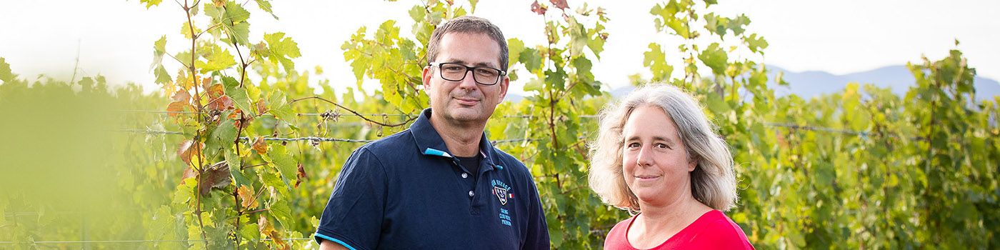 Weingut Schneider Weinlese Georg Ingrid
