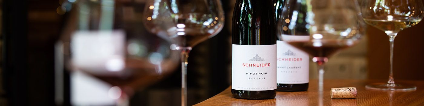 Weingut Schneider Thermenregion Tattendorf